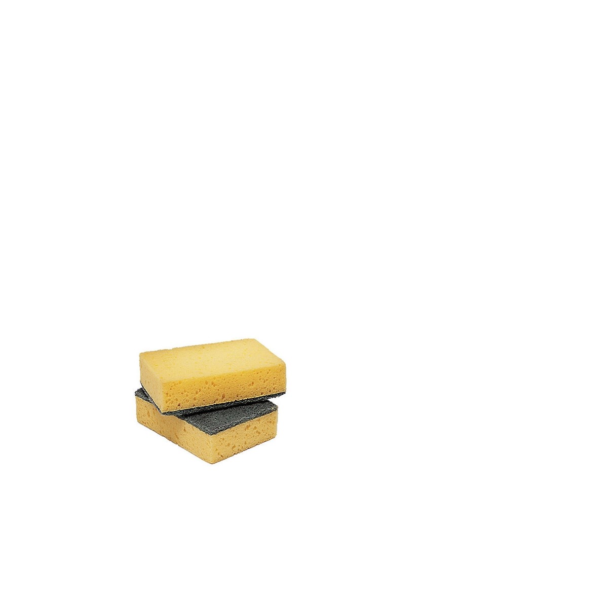 Sponges & Scourers