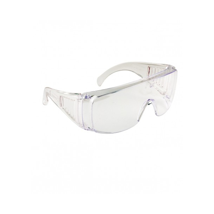 Visitor Safety Glasses - Clear - One