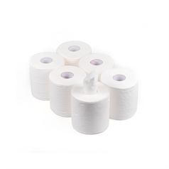 2 Ply Professional Centrefeed White – 166mm x 600 Sheets – Case of 6