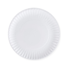 Disposable Paper Plates -23cm (Pack of 100)
