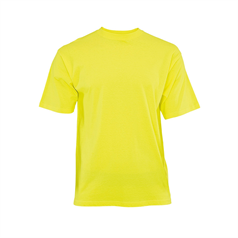 Classic Mediumweight T-Shirt