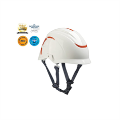 Centurion SecurePlus Black Polyester 4- Point Chinstrap