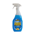 De-Icer – Trigger Spray 750ml