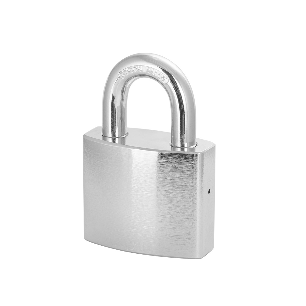 Chrome padlock shop